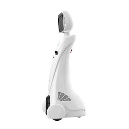A2 — image 4