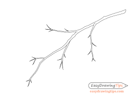 In the input/output chapter, we saw how objects can be saved in root files. How To Draw A Tree Branch With Leaves Easydrawingtips
