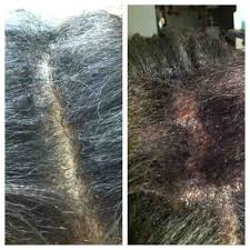 Castor oil for hair growth eyebrows. Taking Control A Hair Journey Lets Grow May 2013