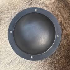 Image result for puklice