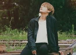 Highlight Reel Edit C Gimcookie Bts Loveyourself Her V Taehyung Kim