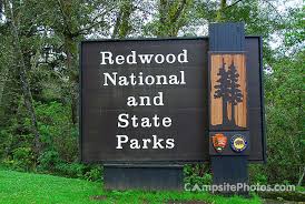 Check spelling or type a new query. Prairie Creek Redwoods State Park Campsite Photos Reservations