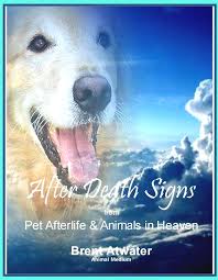 Do you ever wonder if you are being visited by a spirit? Dreams Meaning Of Dreams Dream Of Dead Pet Can Deceased Pets Visit You In Dreams Dream Visits From Dead Pets