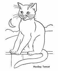 Better yet, how well do they see compared to humans? Black Cat Coloring Pages To Print Halloween Coloring Pages For Coloring Library