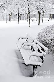 Pin On Winter Dream