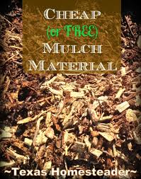 You might find a goldmine of free wood chips just one county away. Cheap Or Free Mulch Options For The Garden Texashomesteader