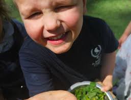 Memorial Day and Sacrificial Love