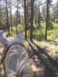 Part of balancing the demands of life at the u.s. Air Force Academy Stables Colorado City 2021 All You Need To Know Before You Go With Photos Tripadvisor