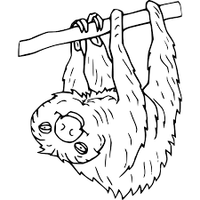 Sloth is the slowest mammal in the world. The Best 16 Sloth Coloring Sheet