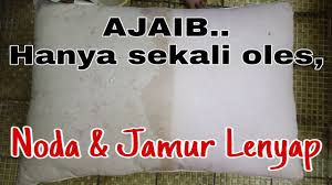 Bantal dan sarungnya harus dicuci secara terpisah dalam mesin cuci. Cara Membersihkan Bantal Berjamur Dan Menguning Bantal Guling Langsung Kinclong Youtube