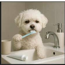 Burch Dental (@BurchDental) • Facebook