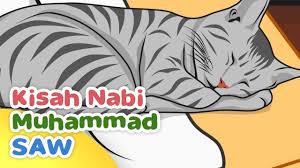 Tangan mbak farah mulai mengocok penisku sementara tangan yang satunya mengelus dadaku yang bidang ini. Kisah Nabi Muhammad Saw Keistimewaan Muezza Kucing Rasulullah Kartun Anak Muslim Indonesia Youtube