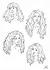 Wavy Hair Reference