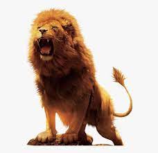 Choose from a curated selection of png photos. Aslan Lion Desktop Wallpaper Download Lions Png Transparent Png Transparent Png Image Pngitem