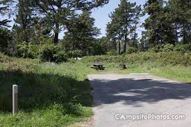 New Brighton State Beach Campsite Photos Campsite Availability Alerts New Brighton Brighton Beach