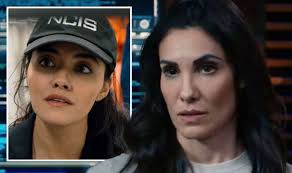 Bar Paly husband: Is the NCIS Los Angeles Anna Kolcheck star married?