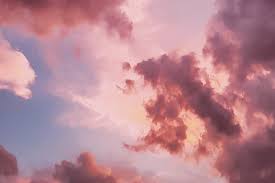 We did not find results for: What Color Is Rose Gold Color Codes Palette Ideas And Related Colors Picsart Blog