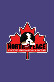 Your adoption fee covers the rescue of your dog, boarding/kennel costs if applicable, transportation to seattle, and all medical care. Adopt North Peace Bernese Mountain Dog Rescue And Sanctuary Daily Planner Hourly Appointment Book Schedule Organizer Personal Or Professional Use Publishing Tina Carter 9798682647316 Amazon Com Books