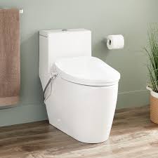 Sitka One Piece Elongated Skirted Toilet With Aldridge Bidet Seat White Bidet Seat Bidet Bathroom Top