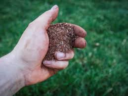 After mowing, lightly rake the yard to expose and loosen the soil so the grass seed can. Tips For Overseeding Your Lawn When And How To Overseed Lawns