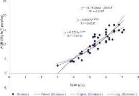 Image result for Astropanax myrianthus