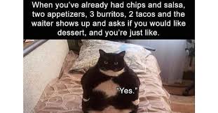 These are the funniest animal picdumps that will make your day lol. 21 Funny Animal Memes