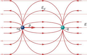 A Dipole Consisting Of A Negative Charge On The Left And A Positive Charge On The Right Is In A Uniform Elec Electric Field University Physics Electric Charge