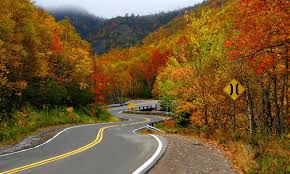 Maybe you would like to learn more about one of these? Top Five Places To Go In Canada For Best Fall Foliage Discover Learn Rbc Royal Bank