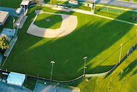 Brownton Bruins baseball