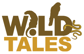 Wild Tales - The Wild Center
