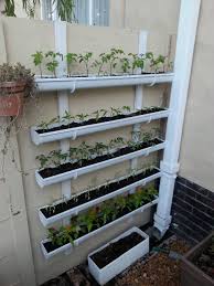 Ich Habe Gestern Nachmittag Einen Vertikalen Blumenkasten Gebaut Pflanzideen Blumenkasten Vertikaler Garten