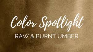 Color Spotlight Returns Raw Burnt Umber Pbr7