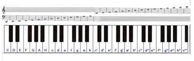 Eine oktave ist der abstand zwischen zwei tönen, die denselben namen haben, aber unterschiedlicher hoch klingen. ÙŠØªØ±Ø¯Ø¯ ØªØ´ØºÙ„ Ø®Ø²Ø§Ù…Ù‰ Piano Tasten Beschriftung Amazon Losososcreek Com