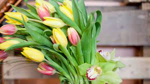 We would like to show you a description here but the site won't allow us. Cactus Flower Florists