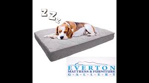 Everton Mattress Furniture Outlet Home Facebook