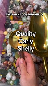 Bildergebnis für Shelly Rusten