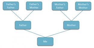 How To Make A Family Tree In Powerpoint Sada
