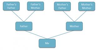 how to make a family tree in powerpoint sada