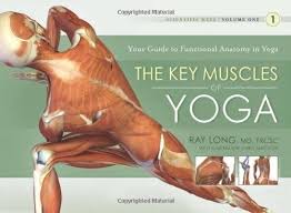 Key Muscles Of Yoga Your Guide To Functional Anatomy In Yoga Scientific Keys 1 Free Ebook Download Sites Without Registration 1607432382 Big Yo Yoga Berita