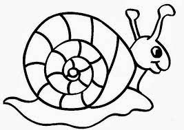 Caracol Para Colorir Desenhos Para Pintar De Animais Desenhos Para Colorir