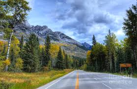 Baker creek, cabin rental in banff & lake louise, alberta. Bow Valley Parkway Banff National Park Alberta Canada Vi Photograph By Wayne Moran