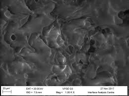 If you like alternative rock and/or if you like metal, dpu are the sweet spot right in the middle of the venn diagram and that sweet spot will grab you by your ears and smash you, thrash you and crash you into a cathartic hellagood time. Cretaceous Dinosaur Bone Contains Recent Organic Material And Provides An Environment Conducive To Microbial Communities Elife