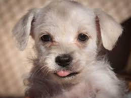 Ojai Photography Club welcomes Ojai-based photographer and educator Greg  Cooper