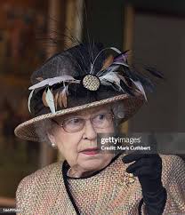 17 74262884 Stock Photos, High-Res Pictures, and Images