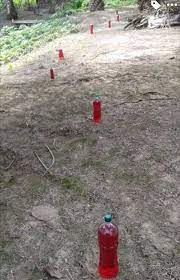 Racun nyamuk ditebuk meggunakan mata drill halus yang. Cara Menghalau Monyet Dari Kebun Informasi Pertanian Facebook