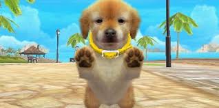 Dogs & cats que llegará a la . Nintendogs Cats Analisis Y Opiniones Del Juego Para 3ds Resenas 3djuegos