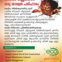 City pest control services არის მიმწოდებელი პროდუქცია და მომსახურება, როგორიცაა სადეზინფექციო მომსახურება. Termite Control Services In Ottapalam Termite Treatment