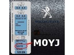 Image result for Gris Aster 2014 Peugeot