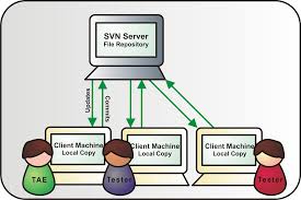 Do an svn update from the root folder. Using Subversion With Ranorex Projects