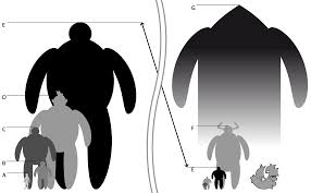 a size diagram posted in the onepiece community